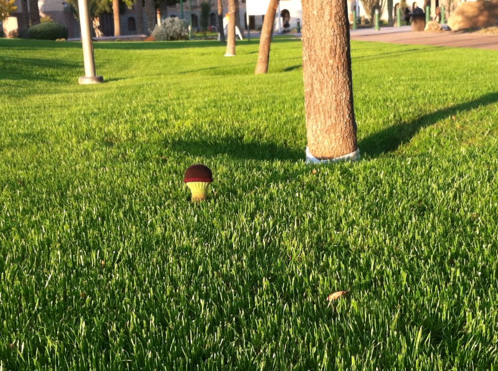 Knitted toadstool on a green lawn under a tree