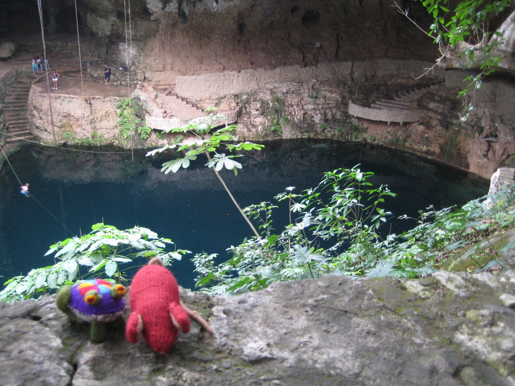 Knitted mouse and fabric frog in front of a cenote or sinkhole