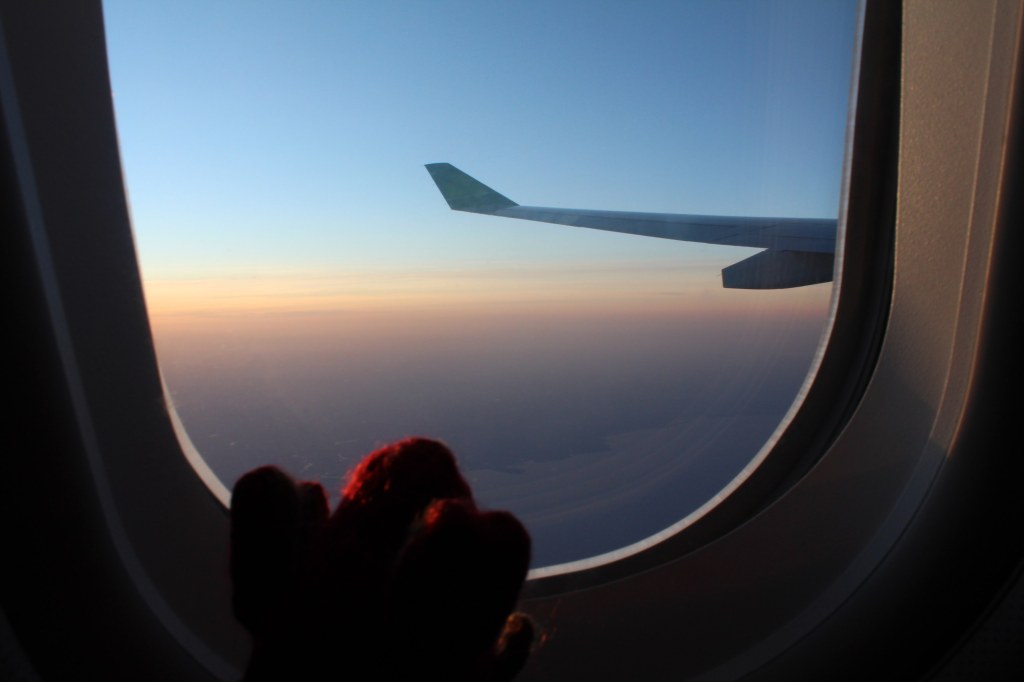 Red knitted mouse watching the sunset through the window of an Aer Lingus plane
