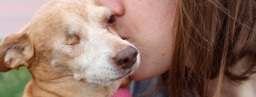 Girl kissing a small, one-eyed dog